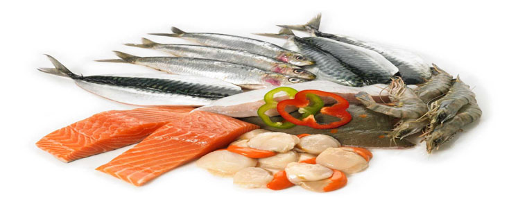 Banner 4